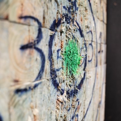 Close-up of a punctured wooden target with green and blue markings.